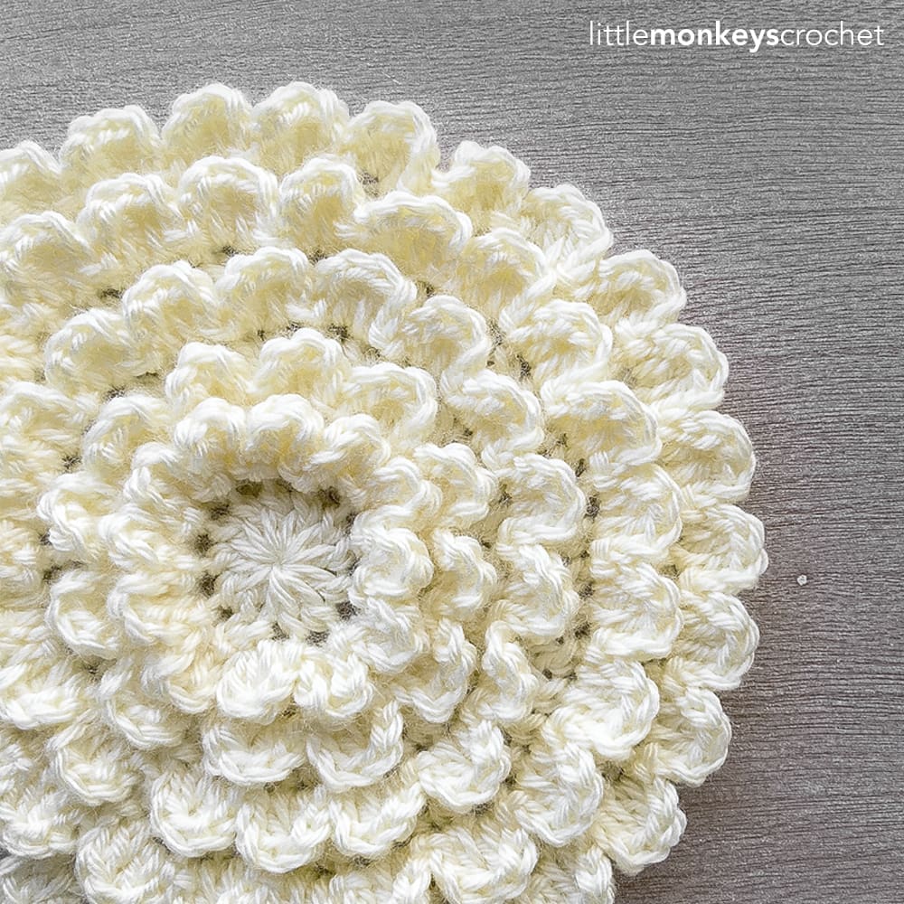 Neverending Zinnia