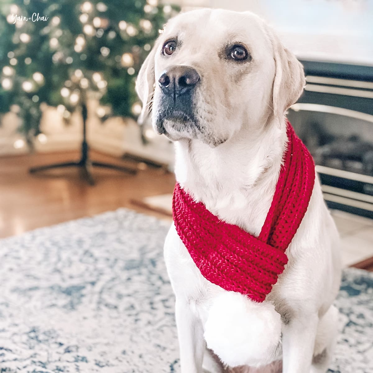 Maisy’s Holiday Dog Scarf